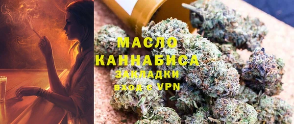 индика Аркадак