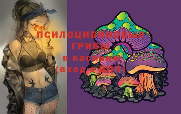 индика Аркадак