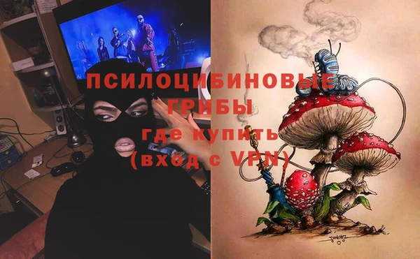 индика Аркадак