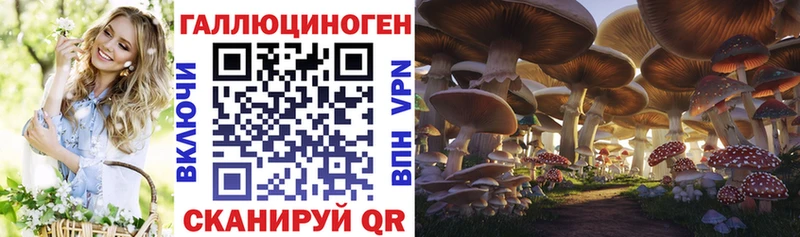 blacksprut ССЫЛКА  Кубинка  Галлюциногенные грибы Cubensis  продажа наркотиков 